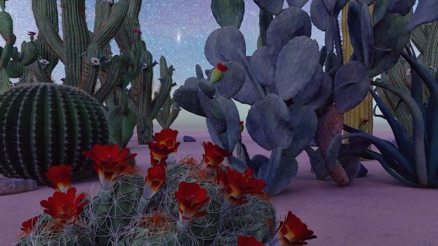 American desert at sunset animation