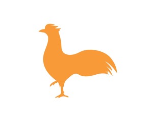 rooster logo vector illustration template