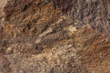 textured natural texture for background