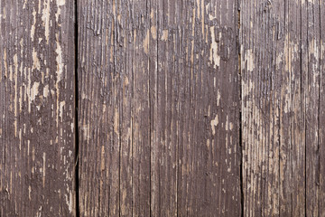 Fototapeta premium textured natural texture for background