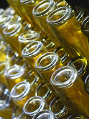 Stages of champagne production.Remuage is the stage of removing wine from the sediment. Close-up of...