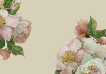 White roses, pink peony and iris isolated on pastel yellow background. Floral banner, cover, header with copy space. Natural flowers wallpaper or greeting card.