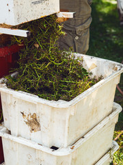 Fototapety na wymiar - Fototapeta24.pl