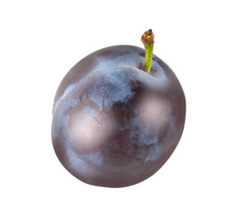 Plum isolated on white background with clipping path