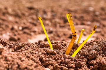 Waste from plastic tubes in the soil. Imagine being a resurrected monster.