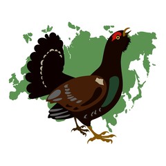 wood-grouse On a vector white background map