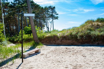 Bench on the beach at the edge of the forest