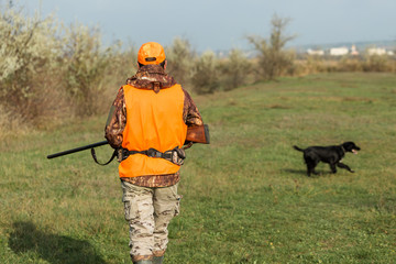 A man with a gun in his hands and an orange vest on a pheasant hunt in a wooded area in cloudy weather. Hunter with dogs in search of game.
