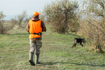 A man with a gun in his hands and an orange vest on a pheasant hunt in a wooded area in cloudy weather. Hunter with dogs in search of game.