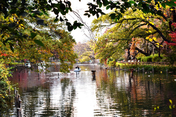 井の頭公園の紅葉