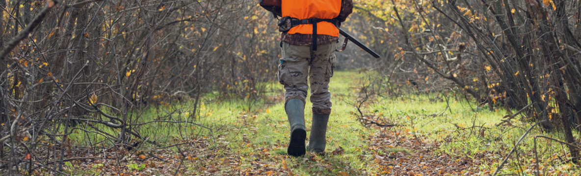 A Man With A Gun In His Hands And An Orange Vest On A Pheasant Hunt In A Wooded Area In Cloudy Weather. Hunter With Dogs In Search Of Game.