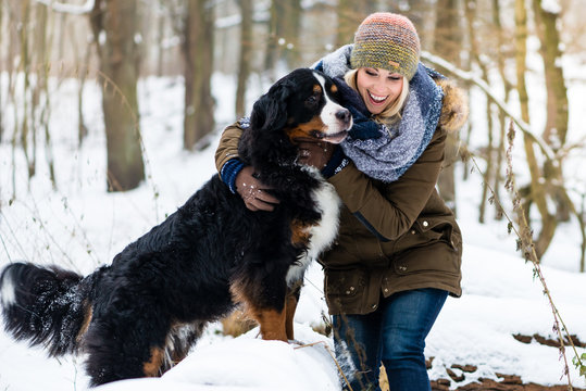 Woman walking her dog in the winter and both explore the snow together