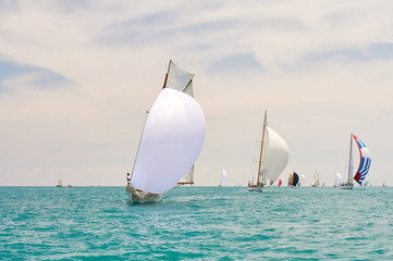 Sport sailing yachts in the race