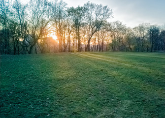 Fototapeta na wymiar Sumice, Vozdovac, Belgrade, Serbia - november 29th, 2019: lawn in the park with the view on the sunset and sunlight, clouds on the sky and distant buildings through the autumn trees
