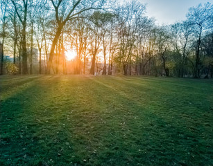 Fototapeta premium Sumice, Vozdovac, Belgrade, Serbia - november 29th, 2019: lawn in the park with the view on the sunset and sunlight, clouds on the sky and distant buildings through the autumn trees