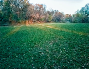 Sumice, Vozdovac, Belgrade, Serbia -  november 29th, 2019: lawn in the park with the view on the sunset and sunlight, clouds on the sky and distant buildings through the autumn trees