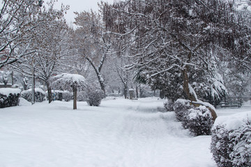 Park covered with heavy snow in the cold winter day