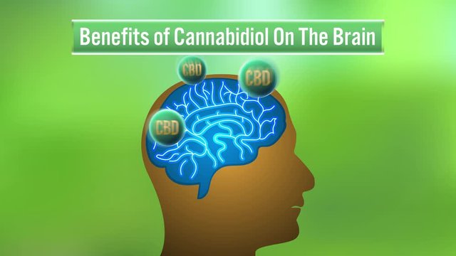 The Brain Benefits of CBD (Cannabidiol) Oil, video animation on green background.