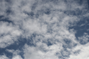 冬の空