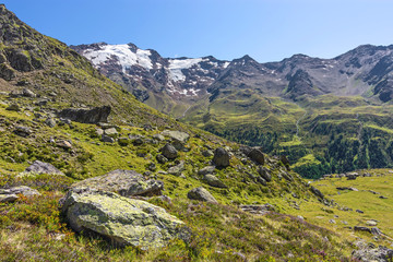 Alpine landscape with green pastures, glaciers and rocky mountains under blue sky. Oetztal Alps, South Tyrol, Italy