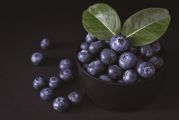 blueberries on black background