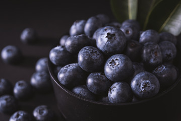 blueberries on black background