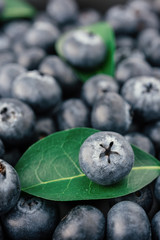 blueberries ,Berry, Blueberry background