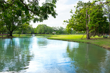 Fototapeta premium City public park bangkok thailand. River, green meadow, tree in the park