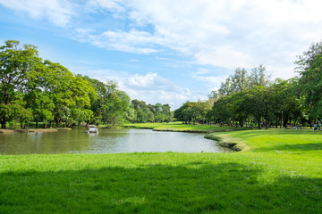 City public park bangkok thailand. River, green meadow, tree in the park