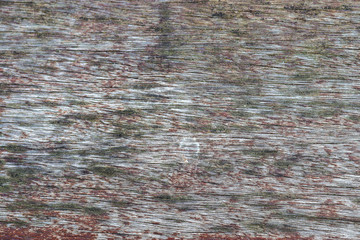 Detailed close up view on aged and weathered wooden surfaces in high resolution