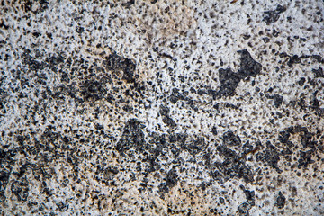 black and white porous granular stone. rough surface texture