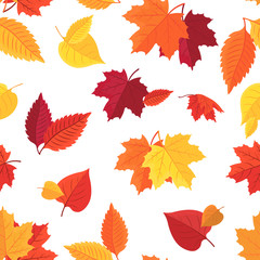 Seamless pattern with colorful autumn leaves. Vector.