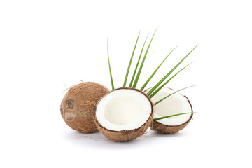 Palm leaves, coconut and two halves isolated on white background. Exotic fruit