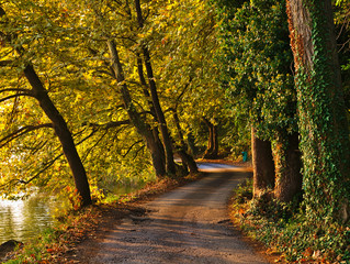 Road by the lake Orestiada,  Kastoria Greece. Sunrise golden light, beautiful foliage of maple trees.