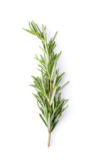 fresh rosemary isolated on white background, Top view.