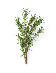 fresh rosemary isolated on white background