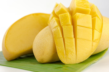yellow mango on white background