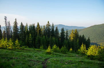 Fototapeta premium Carpathian mountains landscape