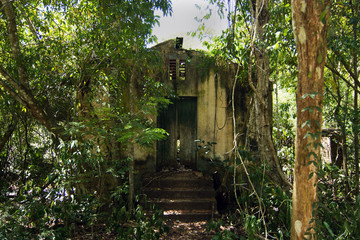 Creepy Abandoned House in the Rain forest