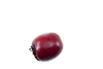 Hawthorn berry on a white background