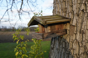 nature 2