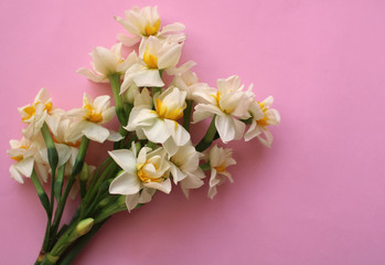 bouquet of white narcissus flowers