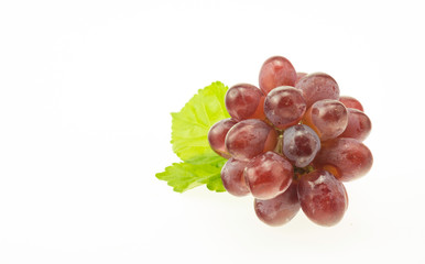 Grape vine