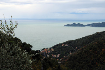 Golfo marino con Zoagli e Portofino