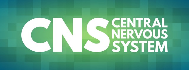 CNS - Central Nervous System acronym, medical concept background