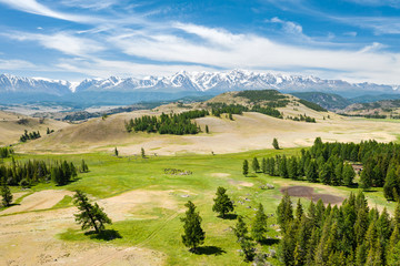 Kurai steppe in Altay on a summer day, aerial view. Natural scenery in Siberia, Russia