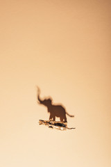 Fototapeta premium Top view of golden toy elephant with shadow on yellow background, extinction of animals concept
