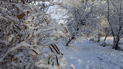Sunny day with fresh snow.