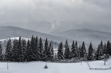 winter mountains landscape. trees covered with snow
