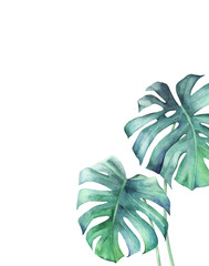 Jungle summer print. Watercolor tropical border with palm leaves on white background. Hand drawn illustration